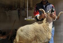 الإبقاء على شعيرة ذبح الأضحية مع توفير الإجراءات الوقائية