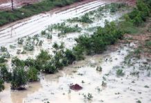 سيول الأمطار تكبد الفلاحين خسائر فادحة بجيجل