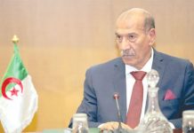 كمال فنيش: الدستور الجديد يطرح 7 إضافات كبرى