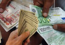 انتعاش أسعار “الدوفيز”.. و100 أورو بـ20 ألف دينار