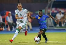 لا خوف على فارس