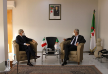 السفير الإيطالي: لدينا منتدى أعمال مع الجزائر مطلع السنة السفير الإيطالي: لدينا منتدى أعمال مع الجزائر مطلع السنة