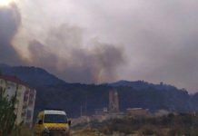 تأييد قرار إيداع 14 متهما الحبس المؤقت في قضية حرائق قوراية تأييد قرار إيداع 14 متهما الحبس المؤقت في قضية حرائق قوراية