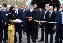 جراد: طريق سيار من البحر المتوسط إلى الساحل الإفريقي جراد: طريق سيار من البحر المتوسط إلى الساحل الإفريقي