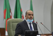 شنين: موقف الجزائر من الصحراء الغربية غير قابل للتنازل شنين: موقف الجزائر من الصحراء الغربية غير قابل للتنازل