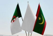 حركية غير مسبوقة على محور الجزائر وموريتانيا حركية غير مسبوقة على محور الجزائر وموريتانيا