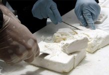 تفكيك شبكة دولية لتهريب الكوكايين تفكيك شبكة دولية لتهريب الكوكايين