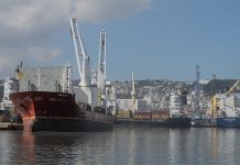 شلل بميناء الجزائر وأزمة تموين في الأفق! شلل بميناء الجزائر وأزمة تموين في الأفق!