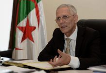 توزيع رخص استيراد جديدة هذا الأسبوع.. وهذه قصة الأقل من 3 سنوات توزيع رخص استيراد جديدة هذا الأسبوع.. وهذه قصة الأقل من 3 سنوات