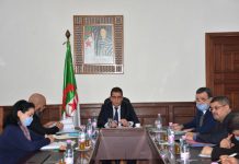 وزارة الفلاحة تشرع في مراجعة قانون المهندسين الزراعيين وزارة الفلاحة تشرع في مراجعة قانون المهندسين الزراعيين