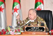 شنقريحة: مؤشرات قوية حول اجتثاث الإرهاب من الجزائر شنقريحة: مؤشرات قوية حول اجتثاث الإرهاب من الجزائر