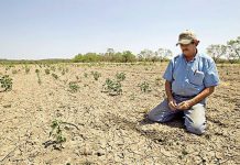 ميهوبي: لدى الوزارة بدائل لمواجهة الجفاف ميهوبي: لدى الوزارة بدائل لمواجهة الجفاف