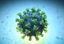 معهد باستور: 5 حالات إصابة جديدة بالسلالة البريطانية معهد باستور: 5 حالات إصابة جديدة بالسلالة البريطانية