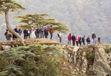 جزائريون يتصالحون مع السياحة الداخلية جزائريون يتصالحون مع السياحة الداخلية