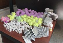 مغتربون يحاولون إغراق الجزائر بالمهلوسات مغتربون يحاولون إغراق الجزائر بالمهلوسات