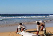 البحر يلفظ جثة فتاة مفقودة البحر يلفظ جثة فتاة مفقودة