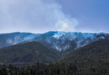 حمداني: الحرائق الأخيرة أتلفت 8900 هكتار على المستوى الوطني حمداني: الحرائق الأخيرة أتلفت 8900 هكتار على المستوى الوطني