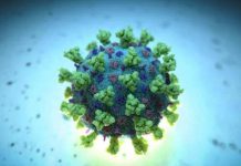 معهد باستور: سلالة دلتا الهندية السريعة تنتشر بنسبة 71 بالمائة في الجزائر معهد باستور: سلالة دلتا الهندية السريعة تنتشر بنسبة 71 بالمائة في الجزائر