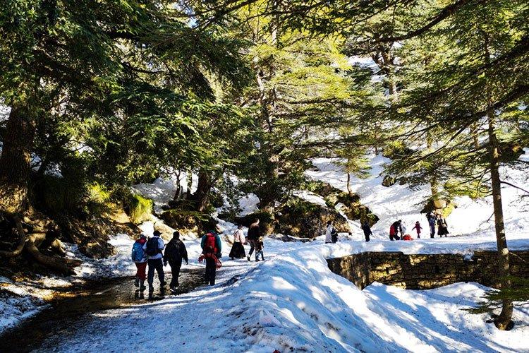 وكالات سياحية “تستنجد” بالسّياحة الشتوية الداخلية.. وكالات سياحية “تستنجد” بالسّياحة الشتوية الداخلية..