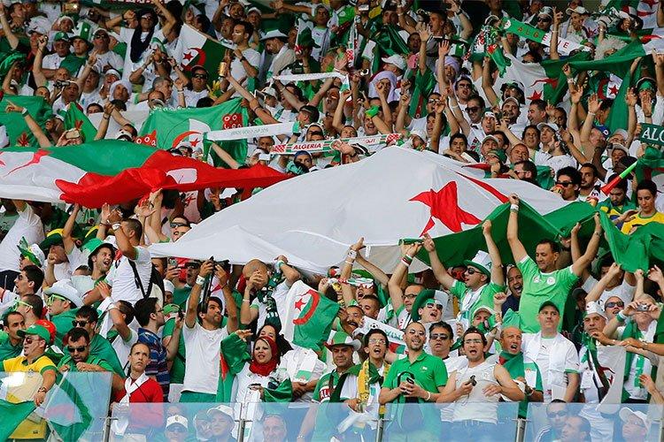 30 ألف متفرج لحضور مباريات “الخضر” في الدور الأول! 30 ألف متفرج لحضور مباريات “الخضر” في الدور الأول!