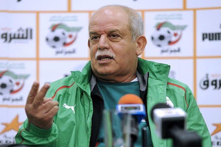 هل أنصفت الرطوبة والحرارة سعدان بعد سنوات من السخرية هل أنصفت الرطوبة والحرارة سعدان بعد سنوات من السخرية