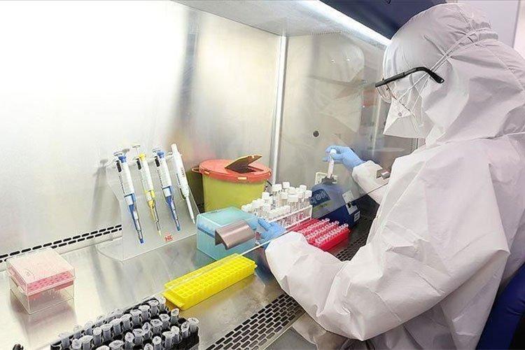 البروفيسور صنهاجي يحذّر من متحوّر جديد أخطر البروفيسور صنهاجي يحذّر من متحوّر جديد أخطر