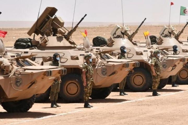 صحيفة روسية: الجزائر تجري تحديثا على مدرعة “بي تي إر – 80” صحيفة روسية: الجزائر تجري تحديثا على مدرعة “بي تي إر – 80”