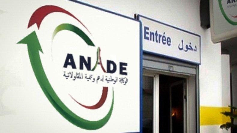 قبول ملفات تعويض 84 مؤسسة أونساج متعثرة بولايات الجنوب قبول ملفات تعويض 84 مؤسسة أونساج متعثرة بولايات الجنوب