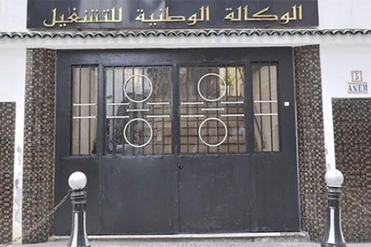 35 ولاية تسحب الثقة من الأمين العام لنقابة “أنام” 35 ولاية تسحب الثقة من الأمين العام لنقابة “أنام”