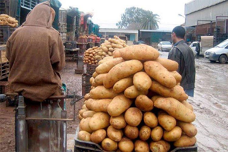 … الاحتكار يُلهب البطاطا! … الاحتكار يُلهب البطاطا!