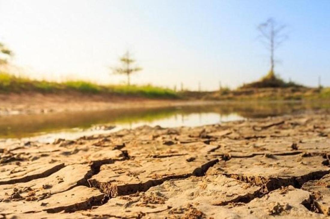 هل دخلت الجزائر مرحلة الجفاف؟.. مسؤولة بالأرصاد الجوية تجيب هل دخلت الجزائر مرحلة الجفاف؟.. مسؤولة بالأرصاد الجوية تجيب