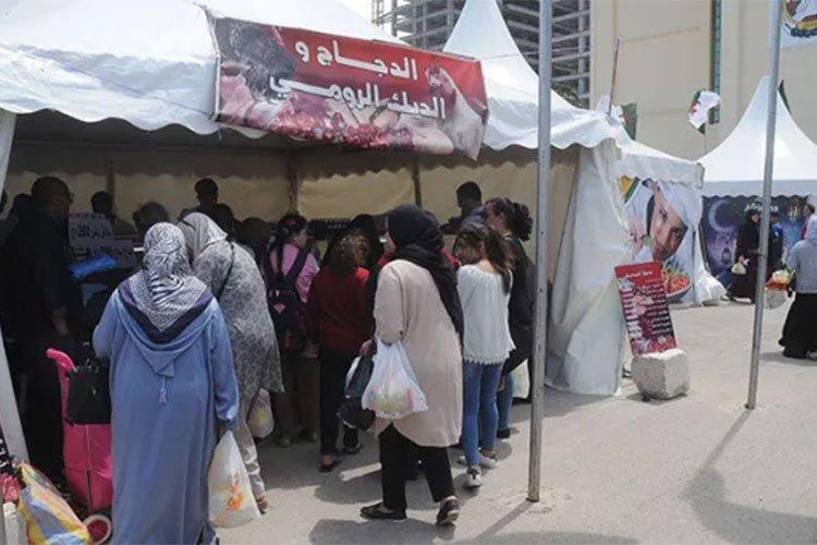 نحو 500 سوق جواري ومعرض تجاري استعدادا لرمضان نحو 500 سوق جواري ومعرض تجاري استعدادا لرمضان