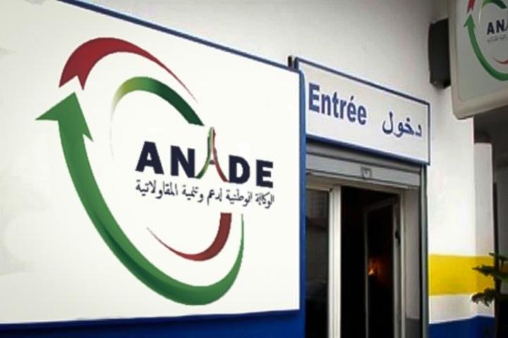 أناد: فتح وكالات في الولايات الجديدة المستحدثة أناد: فتح وكالات في الولايات الجديدة المستحدثة