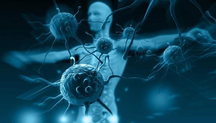 الأكل الصحي والنشاط الجسدي طريقك نحو مناعة قوية الأكل الصحي والنشاط الجسدي طريقك نحو مناعة قوية