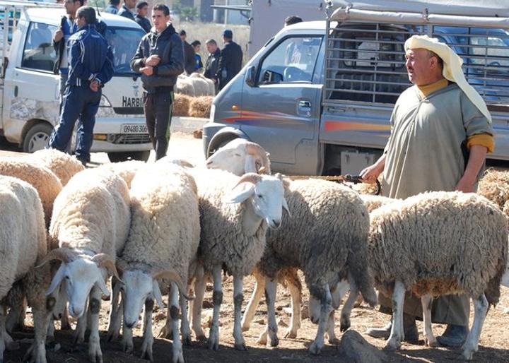 “المـوّال”.. مهنة مُهدّدة بالانقراض “المـوّال”.. مهنة مُهدّدة بالانقراض