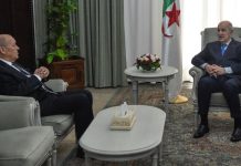 تقرير فرنسي:  الوضع في الجزائر غير مستقر وتوقع حرب مع المغرب تقرير فرنسي: الوضع في الجزائر غير مستقر وتوقع حرب مع المغرب