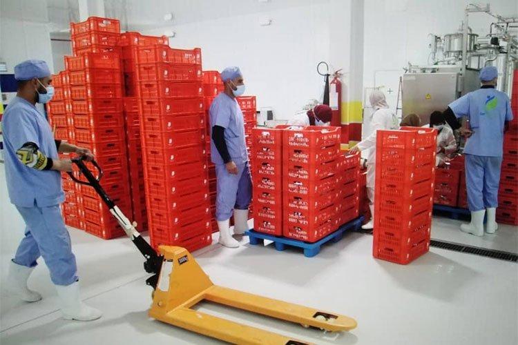 مصنع للحليب بالمدية يدخل الإنتاج ومزرعة نموذجية في الأفق مصنع للحليب بالمدية يدخل الإنتاج ومزرعة نموذجية في الأفق