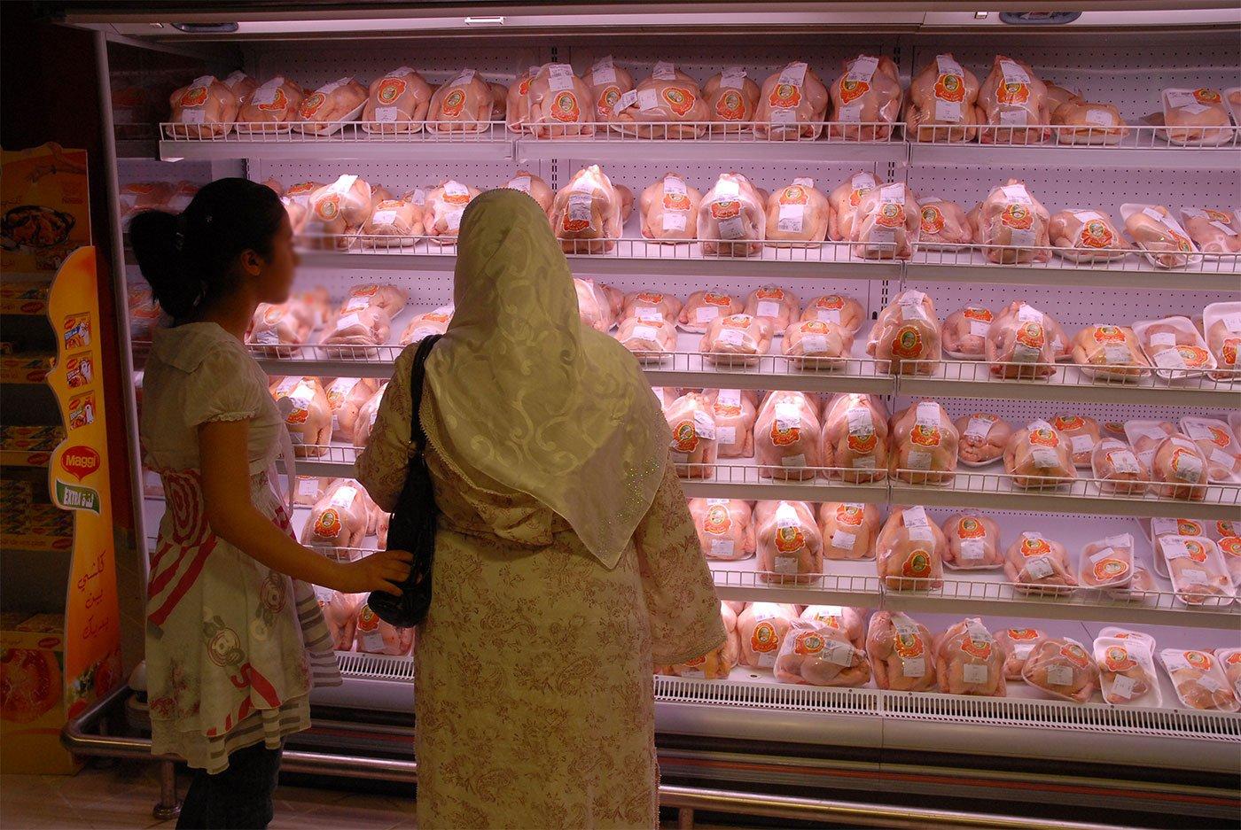 وزير الفلاحة: تحديد سعر الدجاج الحي بـ240 دينار للكيلو غرام وزير الفلاحة: تحديد سعر الدجاج الحي بـ240 دينار للكيلو غرام