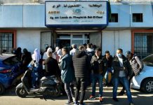 منحة البطالة في الجزائر: شجرة لا تخفي غابة الأزمة منحة البطالة في الجزائر: شجرة لا تخفي غابة الأزمة