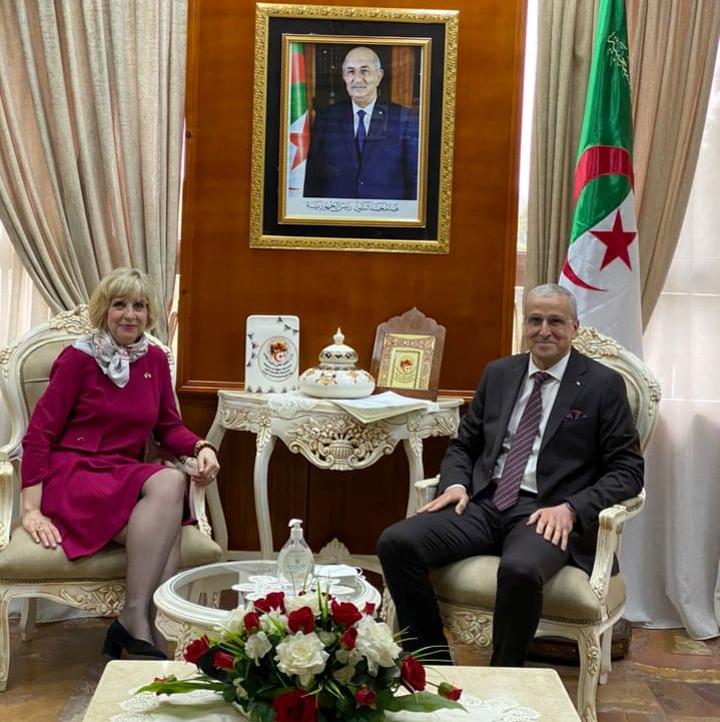 بن زيان: بعث التبادل والاستفادة من خبرة الجامعات الأمريكية في التكوينات المهنية بن زيان: بعث التبادل والاستفادة من خبرة الجامعات الأمريكية في التكوينات المهنية