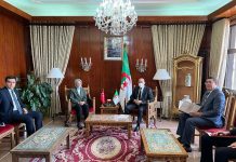 تعزيز فرص التعاون الثنائي.. محور لقاء بلجود مع السفيرة التركية تعزيز فرص التعاون الثنائي.. محور لقاء بلجود مع السفيرة التركية