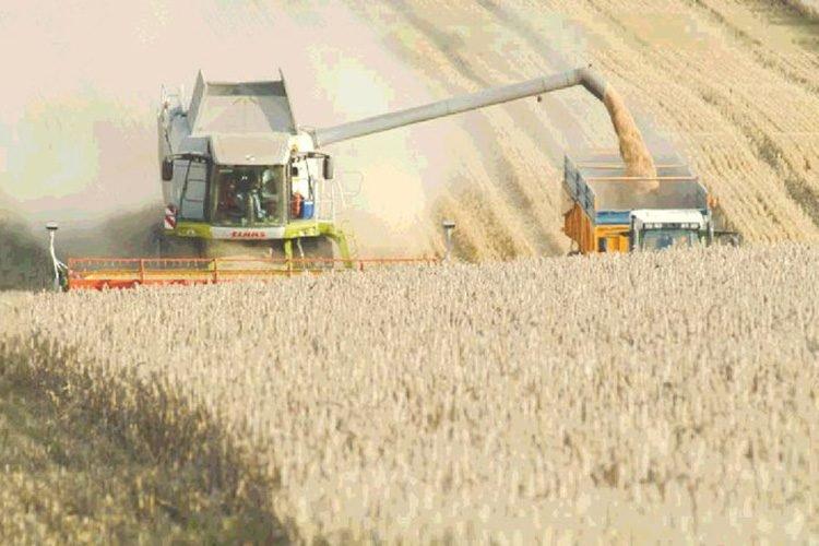 حملة الحصاد: جهاز عملياتي يرأسه ولاة الجمهورية لإنجاح العملية حملة الحصاد: جهاز عملياتي يرأسه ولاة الجمهورية لإنجاح العملية