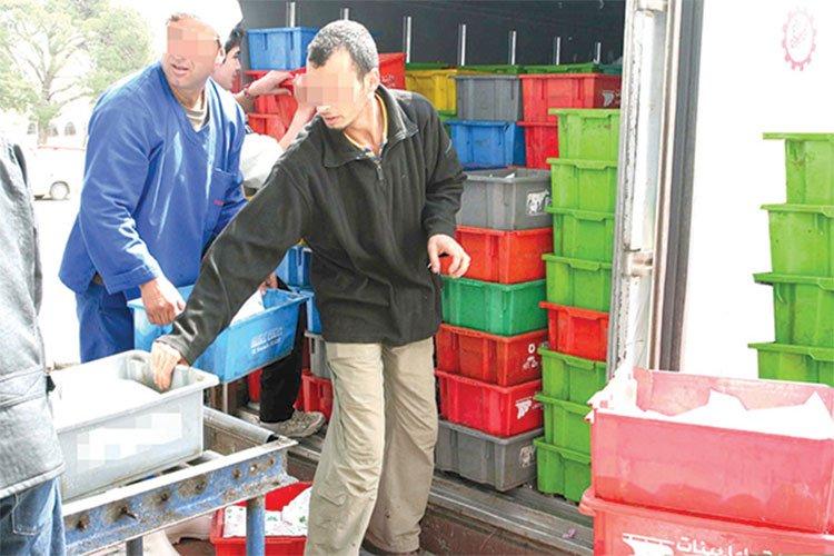 موزعو الحليب يهددون بإضراب مفتوح موزعو الحليب يهددون بإضراب مفتوح