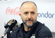 بلماضي يدرس إمكانية برمجة مباراة ودية للخضر في شهر جوان بلماضي يدرس إمكانية برمجة مباراة ودية للخضر في شهر جوان