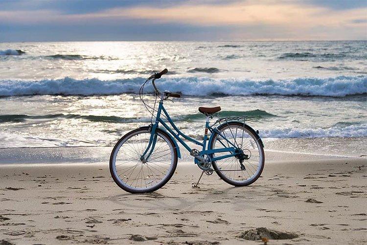 قرار يمنع دخول الحيوانات والدراجات إلى الشواطئ بتيبازة قرار يمنع دخول الحيوانات والدراجات إلى الشواطئ بتيبازة