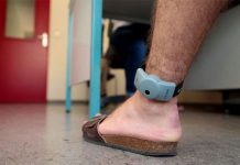 تأجيل النظر في قضية “السوار الإلكتروني” إلى 7 جويلية تأجيل النظر في قضية “السوار الإلكتروني” إلى 7 جويلية