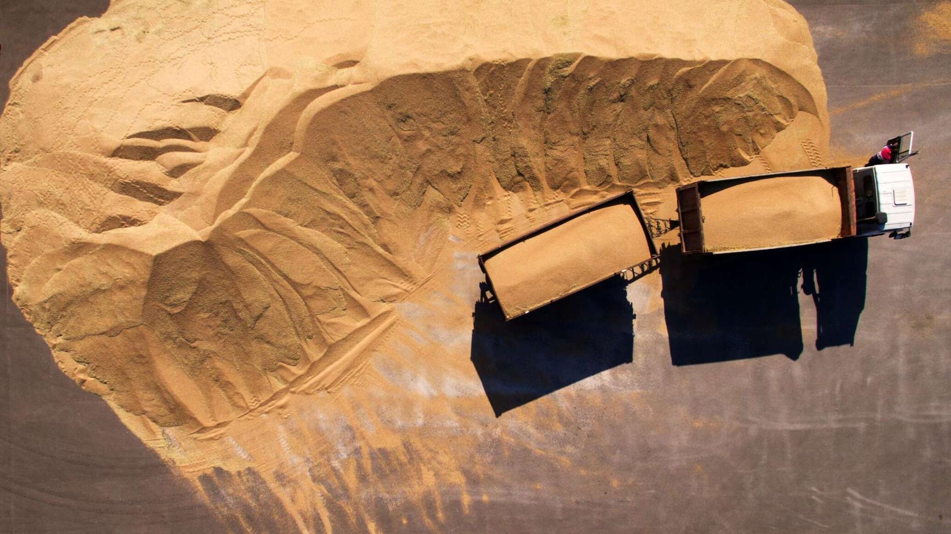 خبير: موسكو حريصة على الأمن الغذائي العالمي والغرب هو المتسبب بالأزمة خبير: موسكو حريصة على الأمن الغذائي العالمي والغرب هو المتسبب بالأزمة