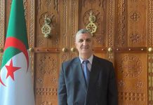 100 نائب جزائري يتحركون ضد قانون “يقصي” الأكاديميين 100 نائب جزائري يتحركون ضد قانون "يقصي" الأكاديميين