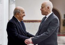 تبّون يدعو التونسيين للتصويت على الدستور الجديد تبّون يدعو التونسيين للتصويت على الدستور الجديد