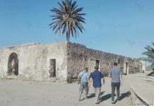 اجتماع “سيجس”؛ من الجزائر إلى هزيمة النازيين اجتماع "سيجس"؛ من الجزائر إلى هزيمة النازيين